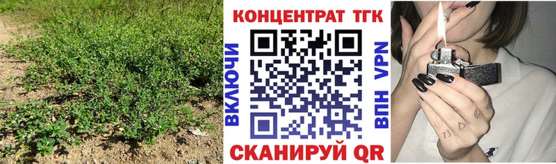 Купить закладки  Алексин  Дистиллят ТГК THC oil 